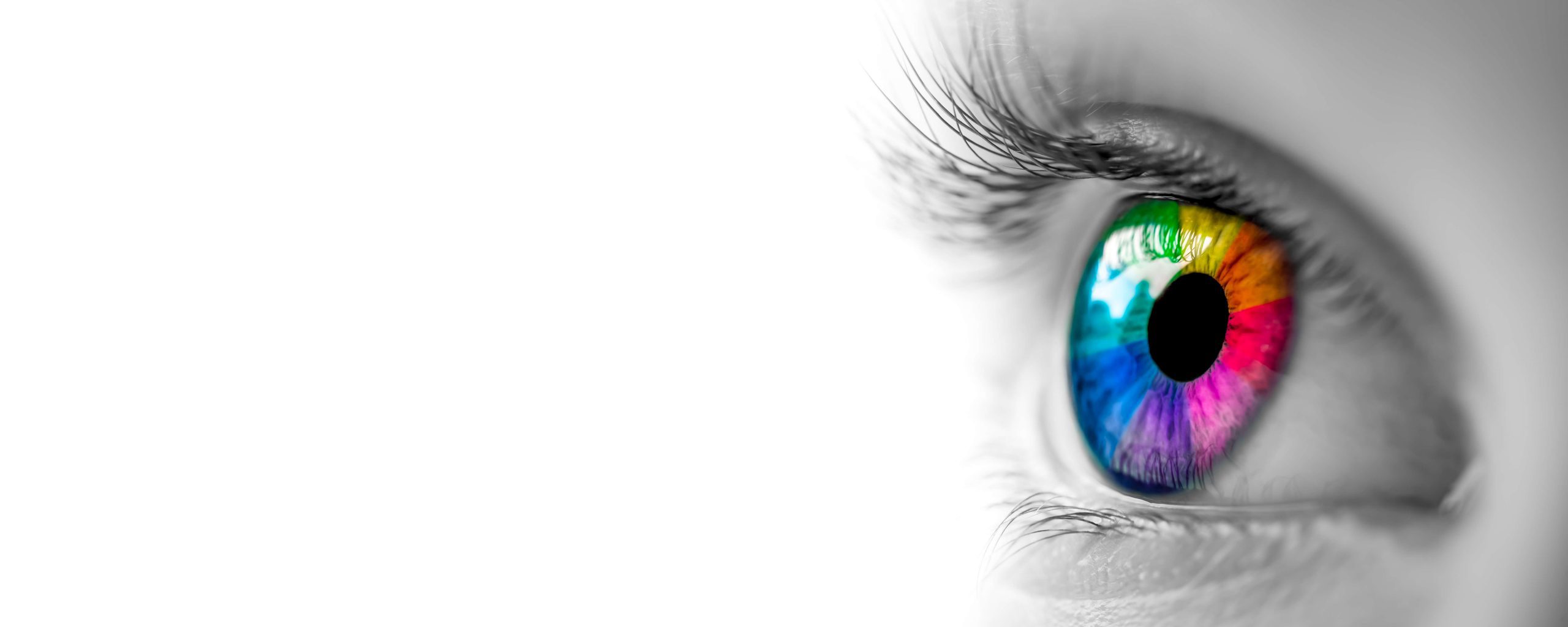 oftalmologie curs2-fiziologia vederii